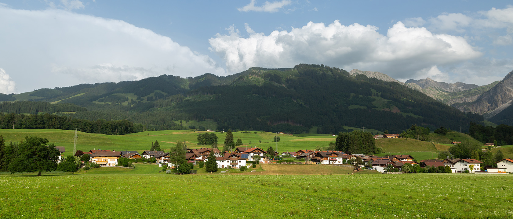 Auenwiese-Landschaft-1