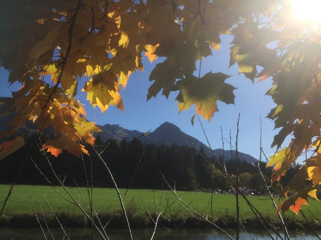 Rubihorn-mit-Herbstlaub