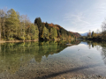 Auwaldsee-im-Herbst