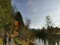 Herbstspaziergang-am-Auwaldsee